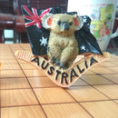 Australia New Zealand Refridgerator