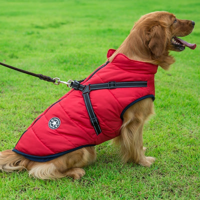Dog Clothes Chest Back Integrated 