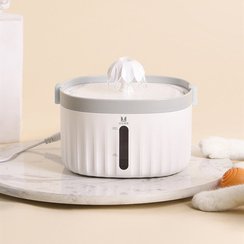 Cats And Dogs Drinking Water