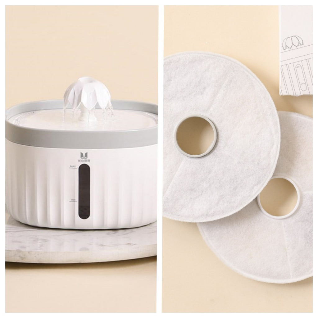 Cats And Dogs Drinking Water