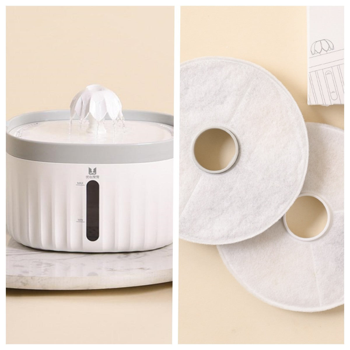 Cats And Dogs Drinking Water