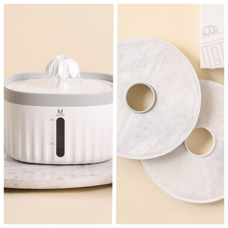 Cats And Dogs Drinking Water