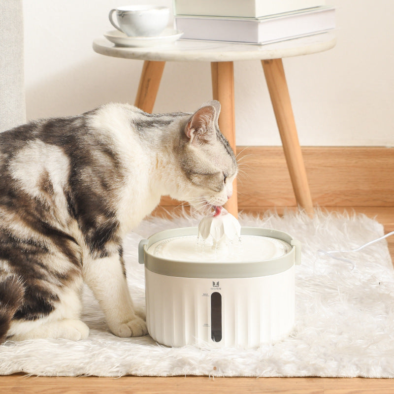 Cats And Dogs Drinking Water