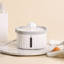 Cats And Dogs Drinking Water