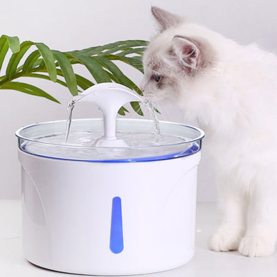 Cats And Dogs Drinking Water Basin 