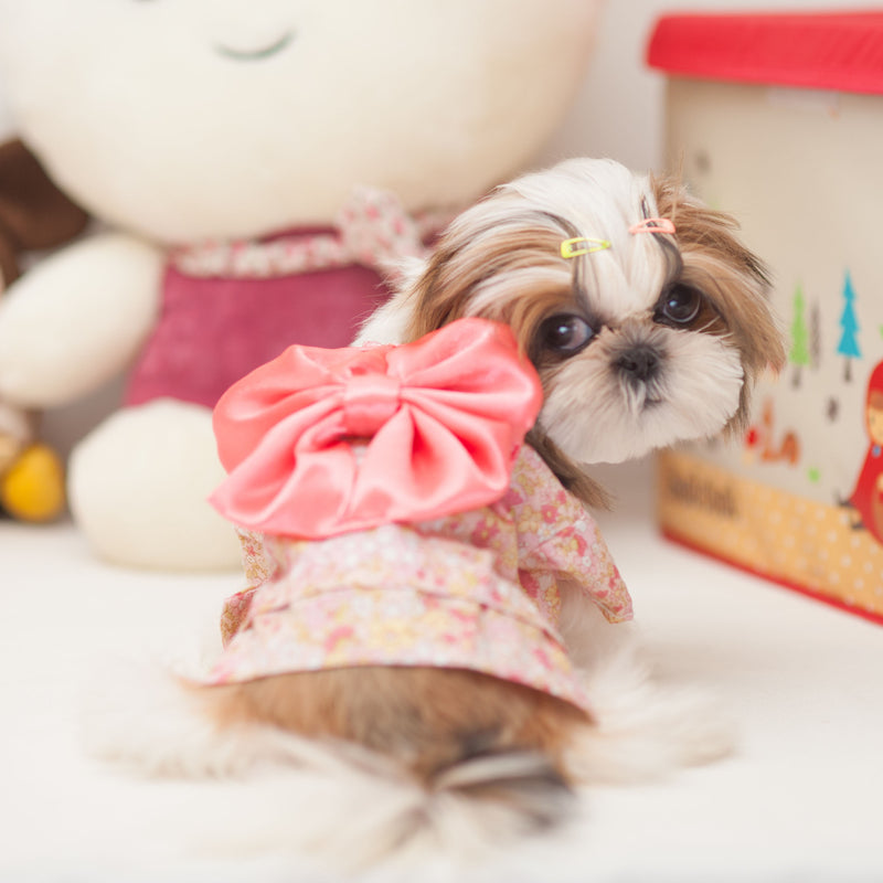 Pet dog kimono dog clothes pet 
