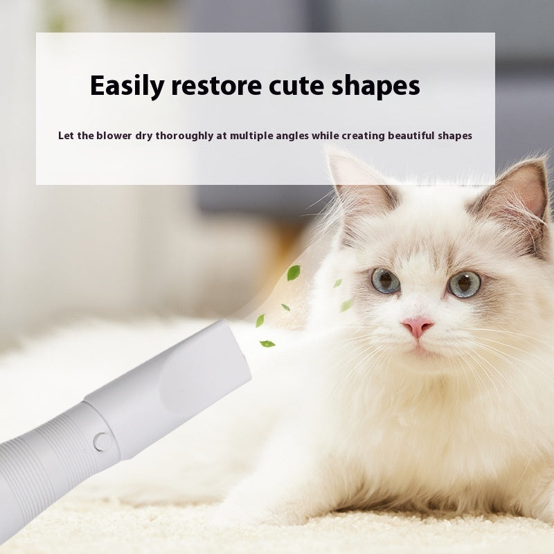 Two-in-one Pet Electric Hot Air One-click