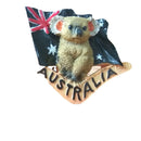 Australia New Zealand Refridgerator