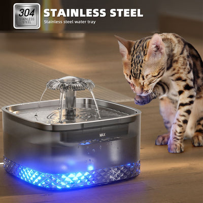 Stainless Steel Cat Automatic 